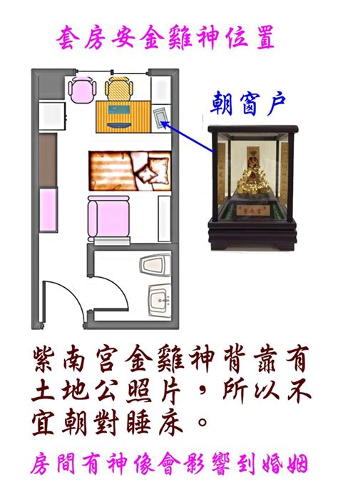 金雞母放房間|金雞擺放高度、方向、禁忌、風水懶人包